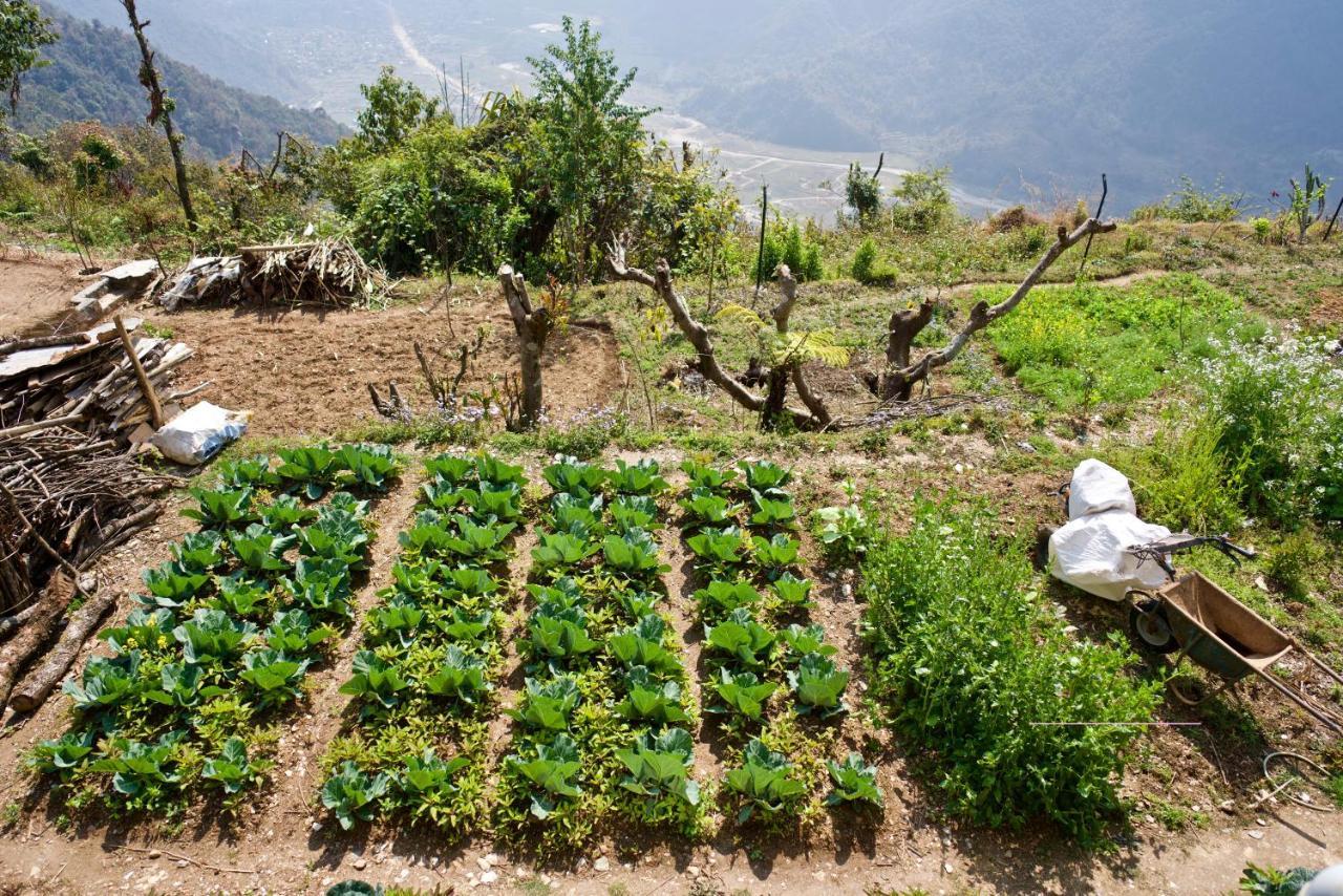 Annapurna Eco Village Pokhara Luaran gambar