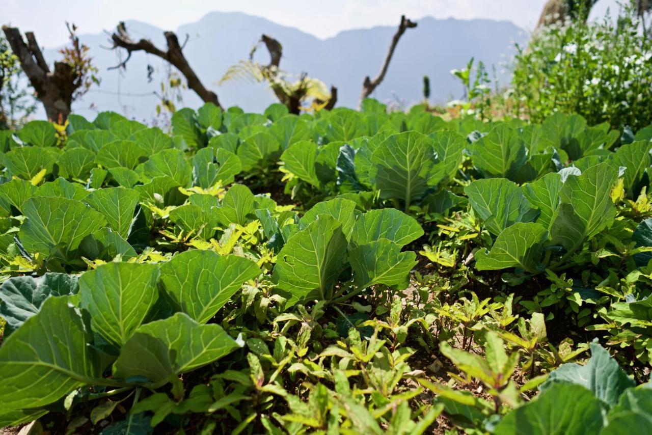 Annapurna Eco Village Pokhara Luaran gambar